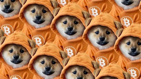 Puppy Doge Elon Musk's Pet Raised Dogecoin's Market Cap By $500 
