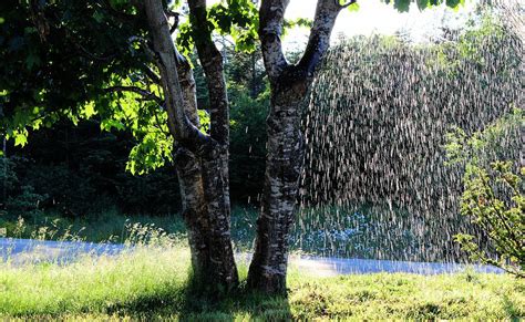 Not Raining Over Here Photograph By Barbara A Griffin Fine Art America