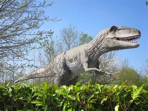 10 Facts About Giganotosaurus