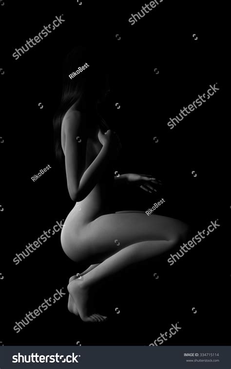 Ilustrasi Stok Sexy Nude Woman Black White Art 334715114 Shutterstock
