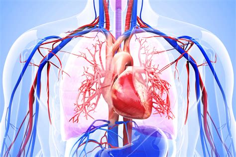 Myocarditis In Cancer Patients Is Driven By Specific Immune Cells The