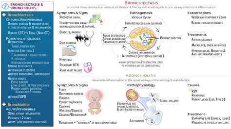 Crna 613 Advanced Advanced Principles Of Anesthesia I Bronchiectasis