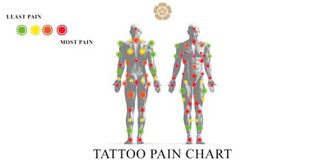 Pain Rating Tattoos Tattoo Spirit Do Tattoos Hurt? Take A Look At
