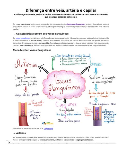 Diferença Entre Veia, Artéria e Capilar - Brasil Escola | PDF | Artéria ...