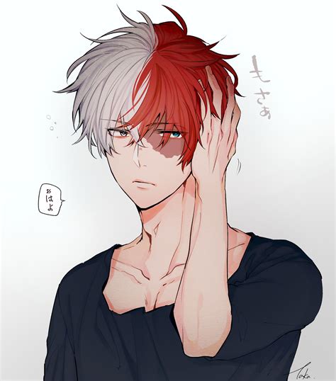 Todoroki Shouto Shōto Todoroki Boku No Hero Academia Image By Toriniku Twst 2728685