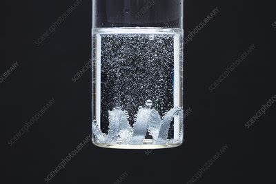 Zinc Reacts With Hydrochloric Acid Stock Image C052 7641 Science