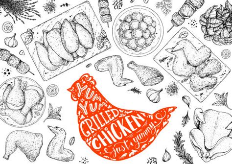 Chicken meat. Grilled and Fried chicken. Hand drawn sketch... | How to ...