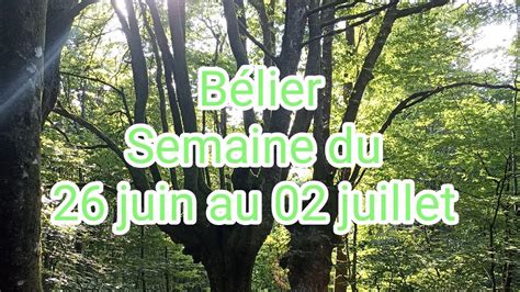 B Lier Semaine Du Juin Au Juillet Youtube