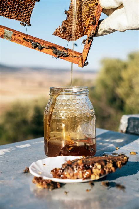 L apithérapie Lart de guérir par les abeilles