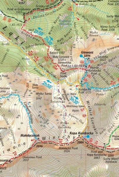 Tatrza Ski Park Narodowy Laminowana Mapa Gauss