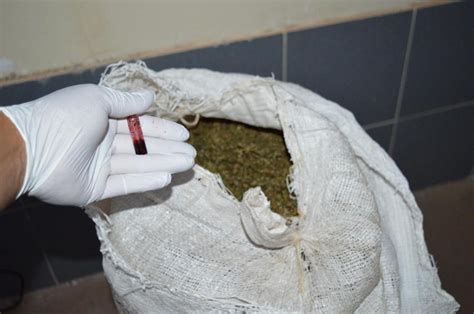 Secuestraron más de 16 kilos de marihuana