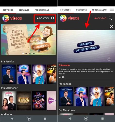 SBT Baixe O Aplicativo Para Assistir SBT Ao Vivo Agora