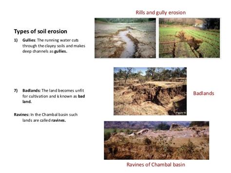 Soil Erosion And Soil Conservation