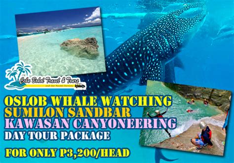 Oslob Whale Shark Adventure - Cebu Tour