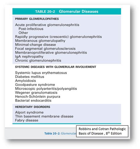 Glomerular Diseases Clinicopathologic Correlation Nus Pathweb Nus