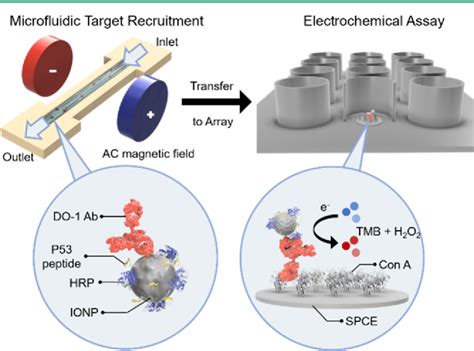 Figure From Antigen Mimic Nanoparticles In Ultrasensitive On Chip