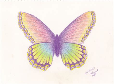 Butterfly Drawing Color Pencil Pencil Drawing Of Butterfly At