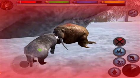 Walrus VS Polar Bear, Seal, Lynx, Penguin, Moose Snow Leopard, Bighorn