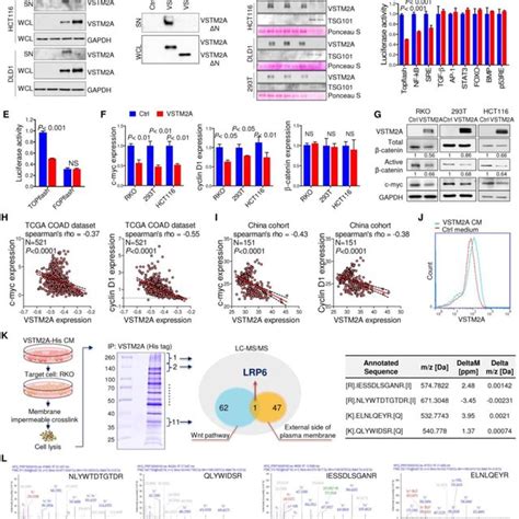 Lrp Acts In A Musk Independent Pathway To Promote Axonal Regeneration