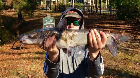 The Simple Method For Catching Pond Catfish Youtube