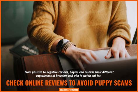 Puppy Scams Warning Signs Lists How To Spot Scammers And Faq