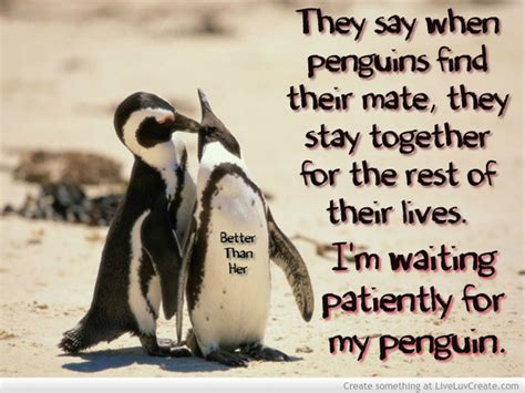 Cute Penguin Love Quotes. QuotesGram