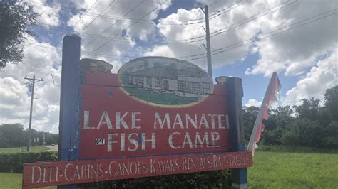 Florida alligator attack: Man bitten, injured by gator in Myakka City