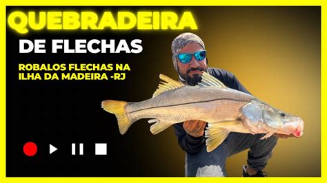 Achamos Eles Cardume De Robalos Flechas Na Ilha Da Madeira Rj YouTube