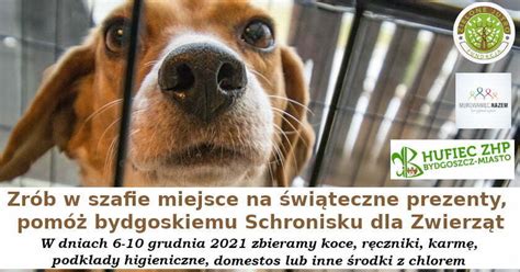 Zbiórka dla schroniska Fundacja Zielone Jutro