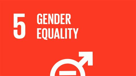 Goal 5—achieving Gender Equality And Empowering Women And Girls Is Sdg