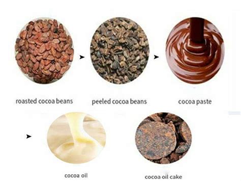 Terrific Cocoa Butter Press Machine Hydraulic Cocoa Oil Press