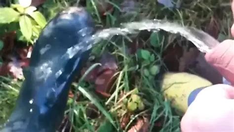 Piss In My Green Wellies Gay Hd Videos Porn Ea Xhamster