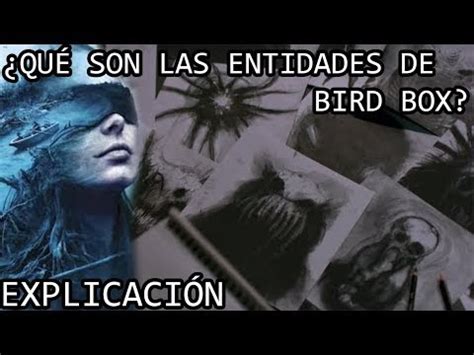 Qué son las Entidades de Bird Box EXPLICACIÓN Las Entidades de Bird