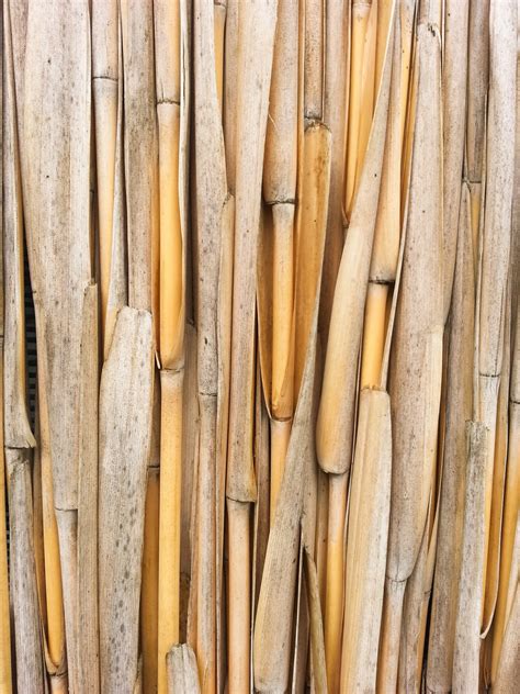 Dry Bamboo Pattern Free Stock Photo Public Domain Pictures