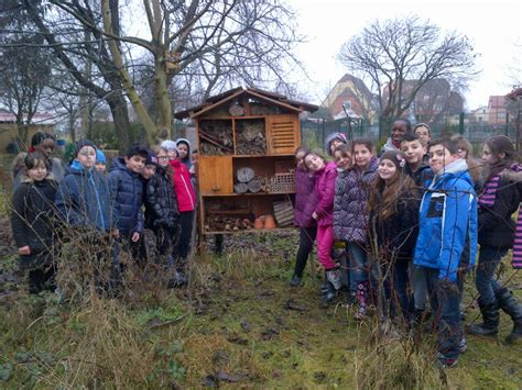 Lh Tel Insectes Ecole L Mentaire Jean Mermoz Schiltigheim