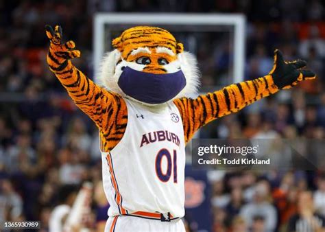 Auburn Mascot Photos And Premium High Res Pictures Getty Images