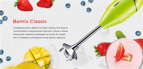 Bamix - Официальный сайт производителя Бамикс | Купить швейцарский ...
