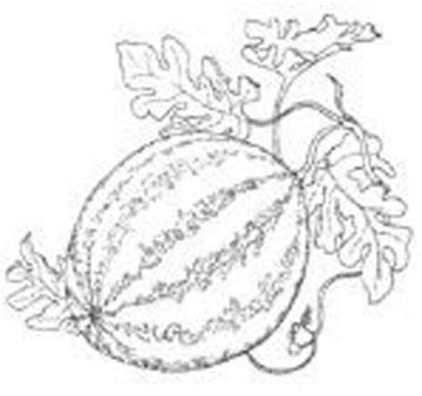 Heirloom Watermelon Varieties – Mother Earth News