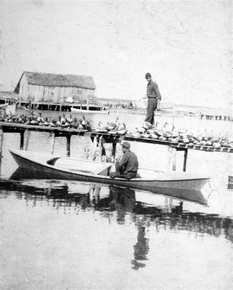 Smith Island, Maryland - Historic Photographs — Jay Fleming