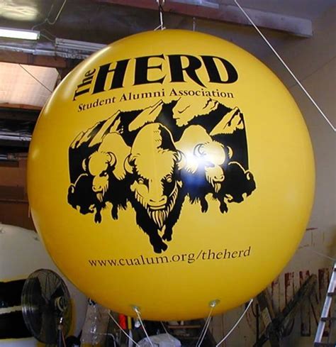 10 Foot Sphere Shape Giant Advertising Balloon One Color Custom