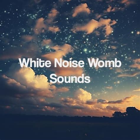 Amazon Music Unlimited Sleep Baby Sleep White Noise Womb