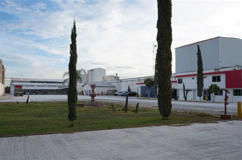 San Luis Planta Exterior Arbolitos Usg Brandhub