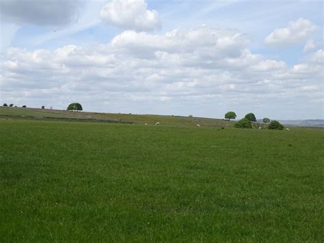grassland  bushy heath farm jthomas cc  sa geograph