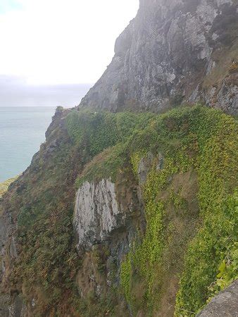 Bray Head Cliff Walk - All You Need to Know BEFORE You Go - Updated ...