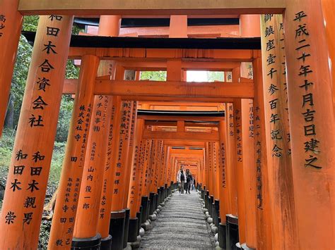 稲荷山・今熊野山・清閑寺山・清水山・東山 ひろしさんの京都一周トレイルの活動データ Yamap ヤマップ