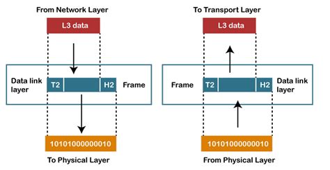 Osi Model Layers Explained In Computer Network Javatpoint Eu