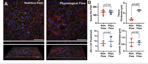 Figure From User Friendly Microfluidic System Reveals Native Like