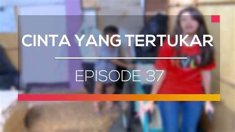 Nonton Sinetron Cinta Yang Tertukar Episode Vidio