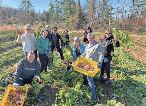 Our Valiant Volunteers In Action Rolling Harvest Food Rescue