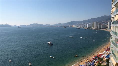 Alerta Capitanía de Puerto por ballena muerta a la deriva en Acapulco